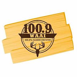 100.9 Classic Country