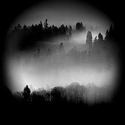 Ambient Radio Caprice