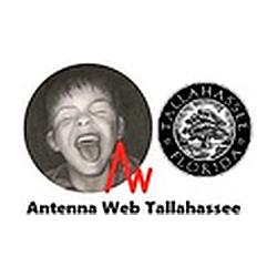Antenna Web Tallahassee