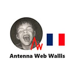 Antenna Web Wallis