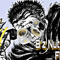 B_z NUTZ RADIO FM