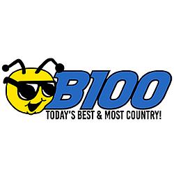 B100