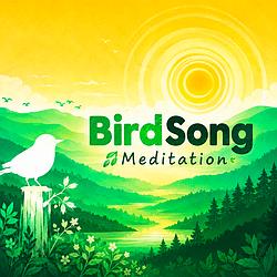 Birdsong & Meditation