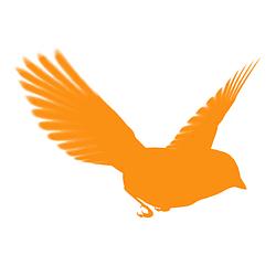 BlackBird HD