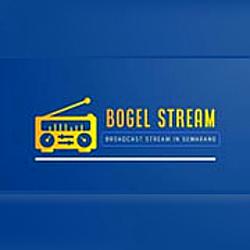 Bogel Stream