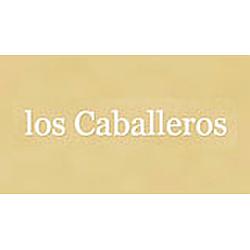 Caballeros  en linea