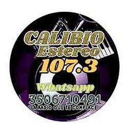 calibio Estereo popayan