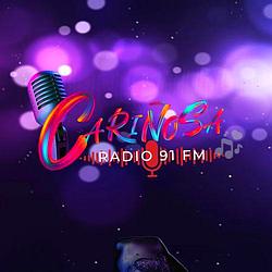 Cariñosa 91 FM Radio