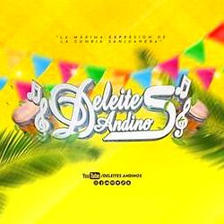 Deleites Andinos Radio
