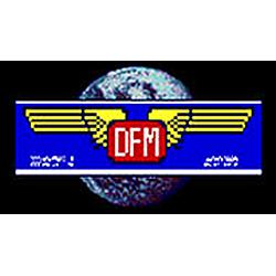 DFM RTV INT