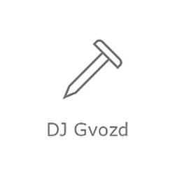 DJ Gvozd Record