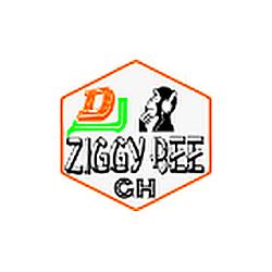 Dj Ziggy Bee pro
