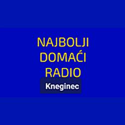 Domaći radio Kneginec