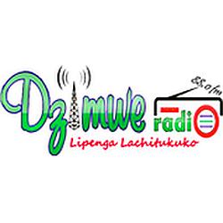 Dzimwe Community Radio