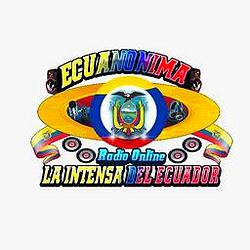 Ecuanonima Radio Online