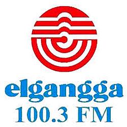 Elgangga FM