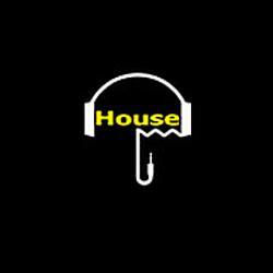 Fancy House
