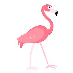 Flamingo Radio