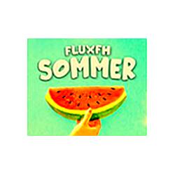 FluxFM Sommer