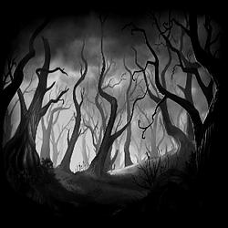 Forest Psytrance Radio Caprice