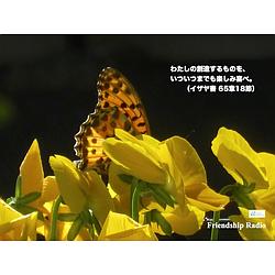 Friendship Radio