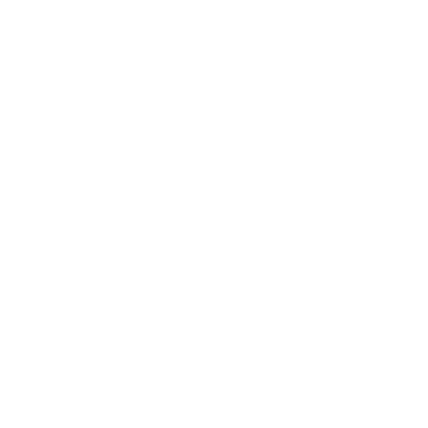 Future Rave Record