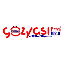 Gozyasi FM