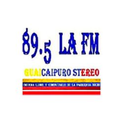 Guaicaipuro Stereo