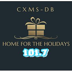 Home For The Holidays