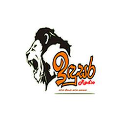 Indusara Radio
