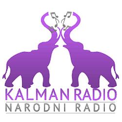 Kalman radio