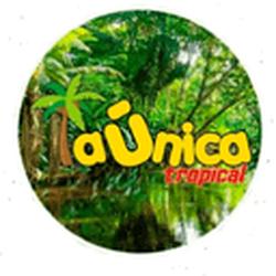 La Unica Tropical