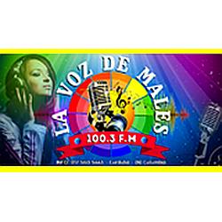 La Voz De Males