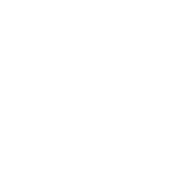 Lady Waks Record