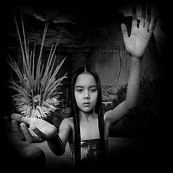 Leftfield Radio Caprice