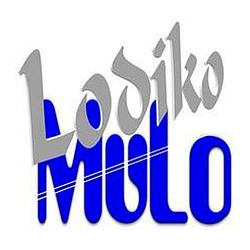 Lodiko Sodonyo