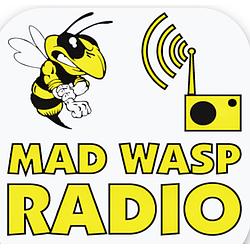 Mad Wasp Radio