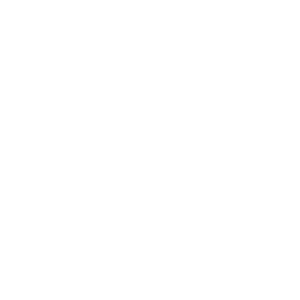 Martin Garrix Record
