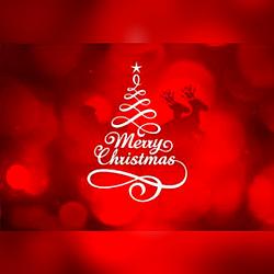 Merry Christmas