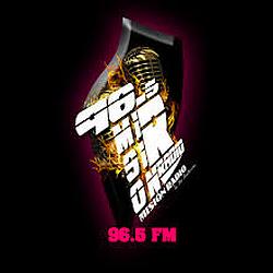 Mision Radio 96.5 FM