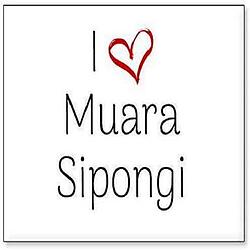 Muara Sipongi