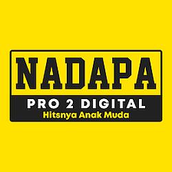 Nadapa Pro 2 Digital