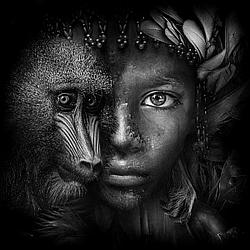Organic House Radio Caprice