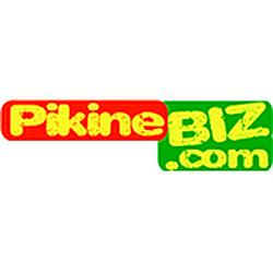 Pikine Biz Radio
