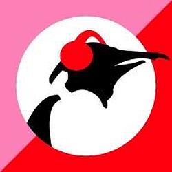 Pinguin Pop