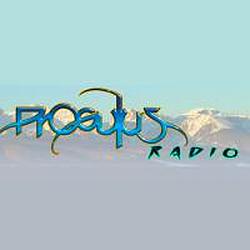 Progulus