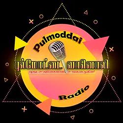 Pulmoddai Radio