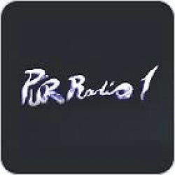 PurRadio1