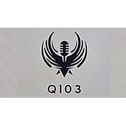 Q103