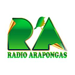 Rádio Arapongas